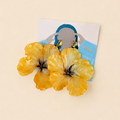 Earings jewelry